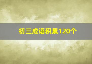 初三成语积累120个