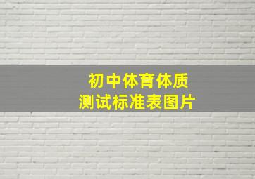 初中体育体质测试标准表图片