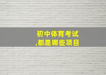 初中体育考试,都是哪些项目