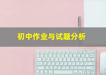 初中作业与试题分析