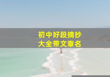 初中好段摘抄大全带文章名