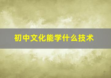 初中文化能学什么技术