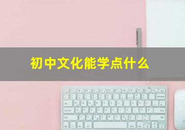 初中文化能学点什么