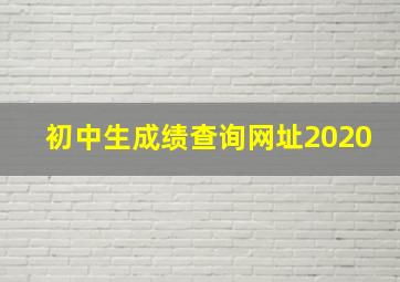 初中生成绩查询网址2020