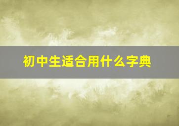 初中生适合用什么字典