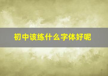 初中该练什么字体好呢