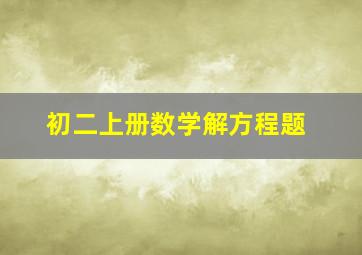 初二上册数学解方程题