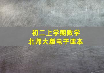 初二上学期数学北师大版电子课本