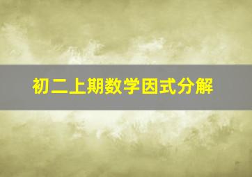 初二上期数学因式分解