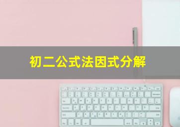 初二公式法因式分解