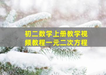 初二数学上册教学视频教程一元二次方程