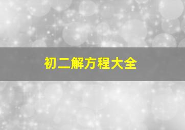 初二解方程大全