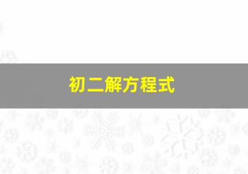 初二解方程式