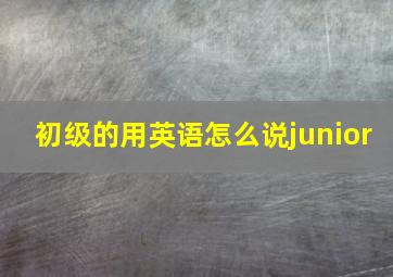 初级的用英语怎么说junior