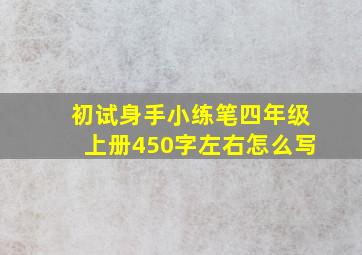 初试身手小练笔四年级上册450字左右怎么写