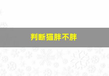 判断猫胖不胖