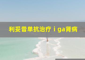 利妥昔单抗治疗ⅰga肾病