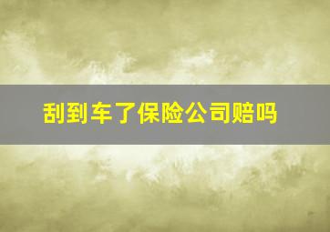 刮到车了保险公司赔吗