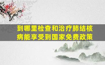 到哪里检查和治疗肺结核病能享受到国家免费政策