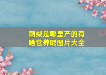 刺梨是哪里产的有啥营养呢图片大全