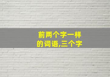 前两个字一样的词语,三个字