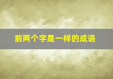 前两个字是一样的成语