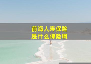 前海人寿保险是什么保险啊