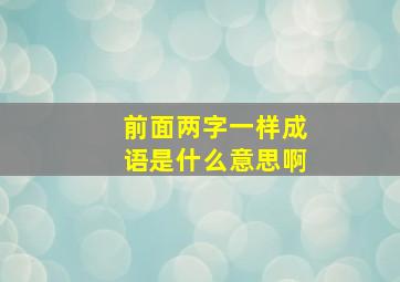 前面两字一样成语是什么意思啊