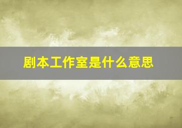 剧本工作室是什么意思