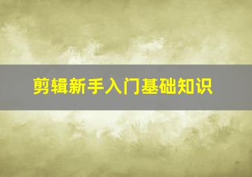 剪辑新手入门基础知识