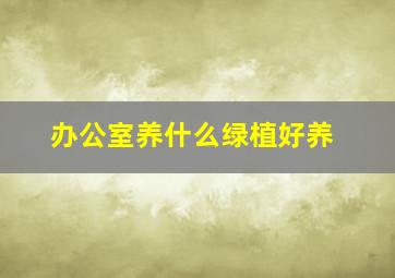 办公室养什么绿植好养