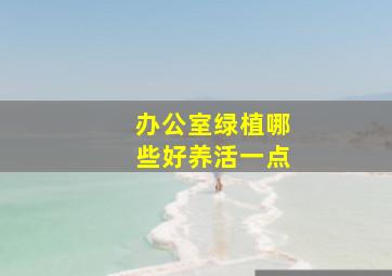 办公室绿植哪些好养活一点