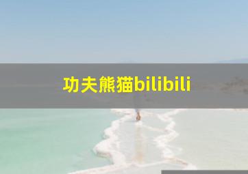 功夫熊猫bilibili