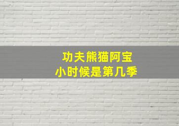 功夫熊猫阿宝小时候是第几季