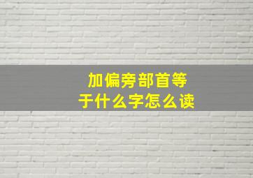 加偏旁部首等于什么字怎么读