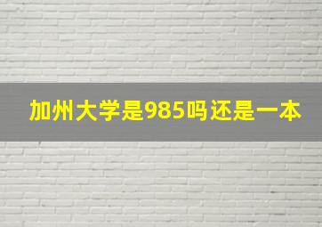 加州大学是985吗还是一本