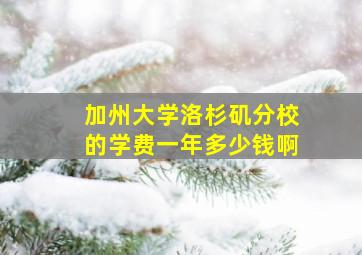 加州大学洛杉矶分校的学费一年多少钱啊