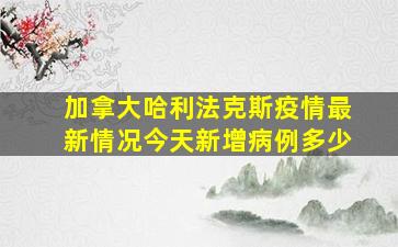 加拿大哈利法克斯疫情最新情况今天新增病例多少