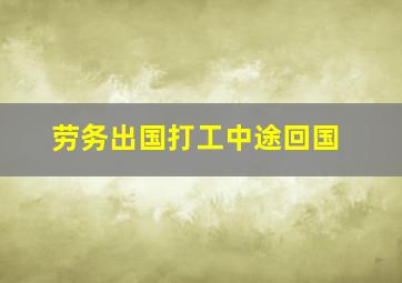 劳务出国打工中途回国