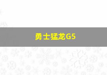 勇士猛龙G5