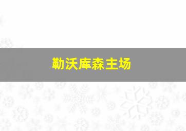 勒沃库森主场