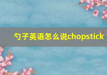 勺子英语怎么说chopstick