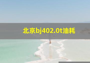 北京bj402.0t油耗