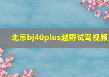 北京bj40plus越野试驾视频