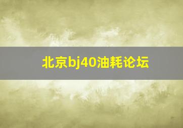 北京bj40油耗论坛