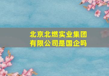 北京北燃实业集团有限公司是国企吗