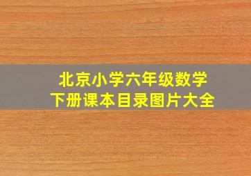 北京小学六年级数学下册课本目录图片大全