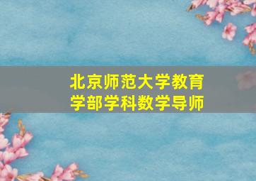 北京师范大学教育学部学科数学导师