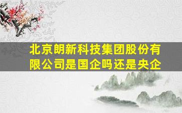 北京朗新科技集团股份有限公司是国企吗还是央企