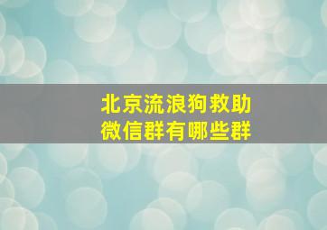 北京流浪狗救助微信群有哪些群